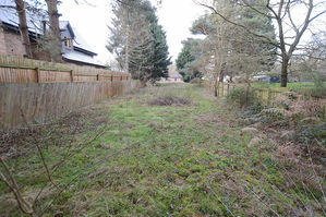 Plot of Nearly Half an Acre- click for photo gallery